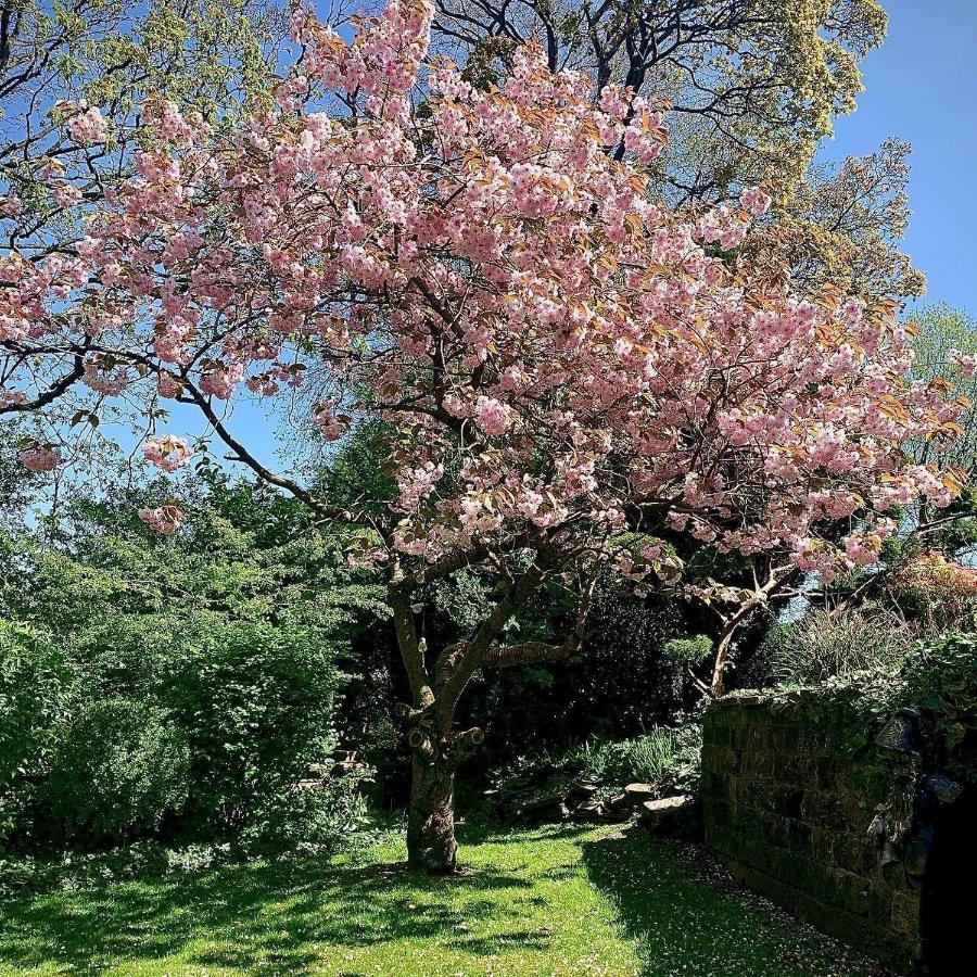 Rosehill House Hotel Μπέρνλεϊ Εξωτερικό φωτογραφία